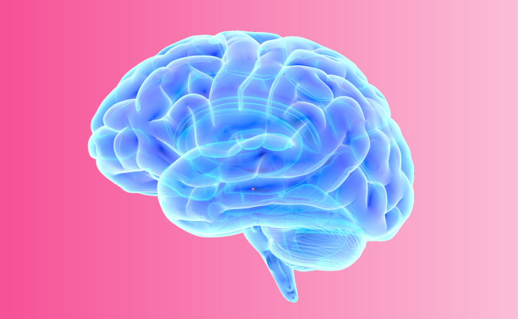 A pretty blue brain on a pink background. If you hate getting an MRI this computerized brain is a soothing image. 