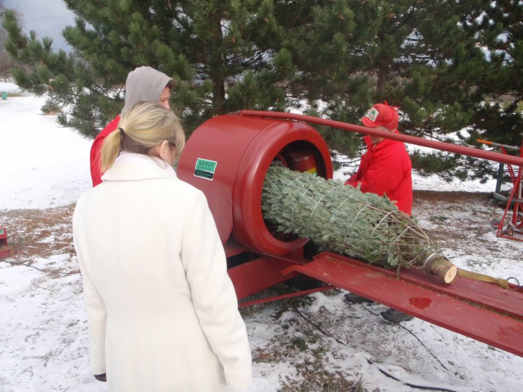 A woman with MS stands in a white coat and watches while a Christmas tree is being bound. 